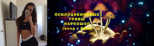 ALPHA PVP Баксан