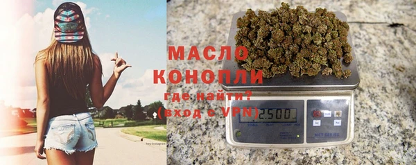 индика Саяногорск