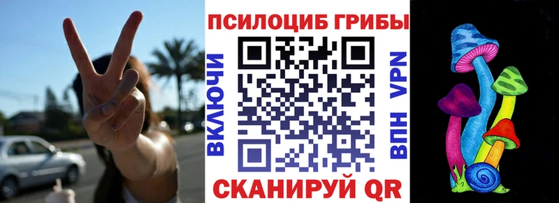 Галлюциногенные грибы Psilocybine cubensis  Лодейное Поле 